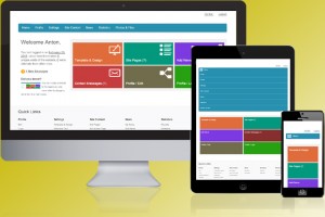Responsive Site Script